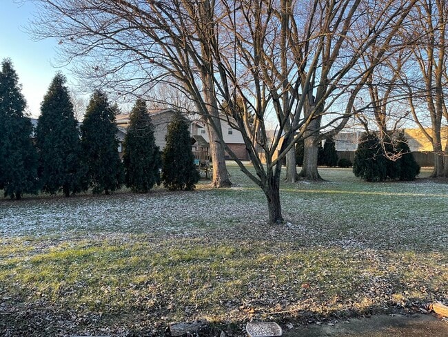 Photo - 1546 Brookfield Ln