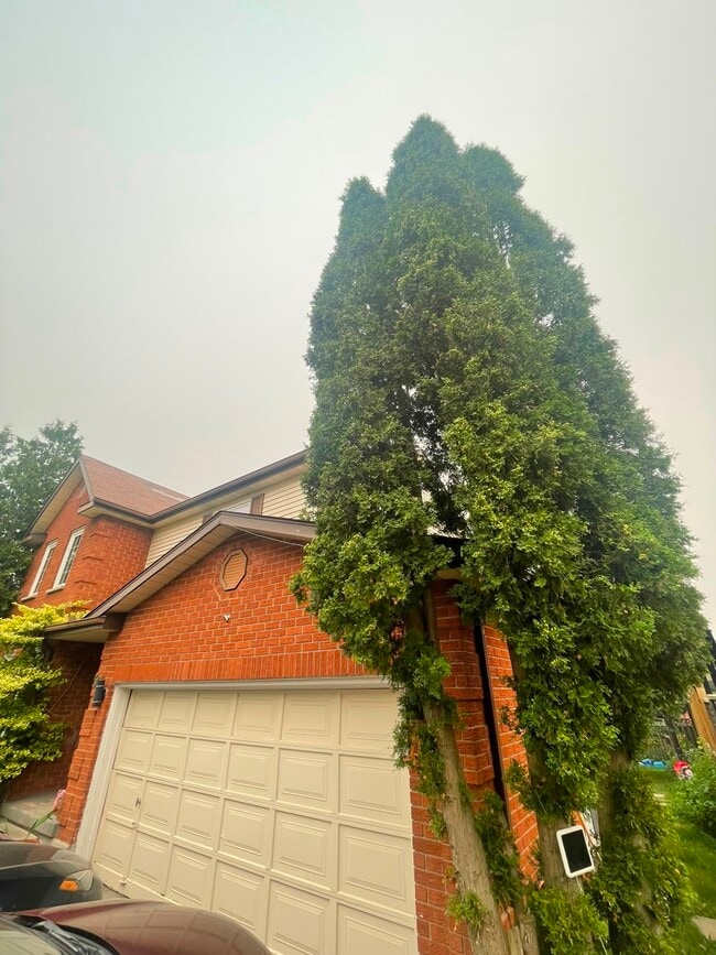 Building Photo - 501 Thorndale Dr