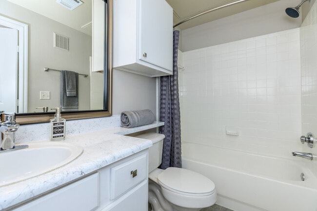Modern Bathroom Design at The Woods of Five Mile Creek in Dallas, TX - The Woods at Five Mile Creek Apartments
