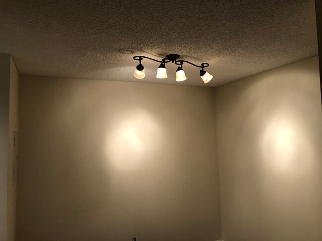 All new light fixtures - 515 Basswood Ave Unit L112