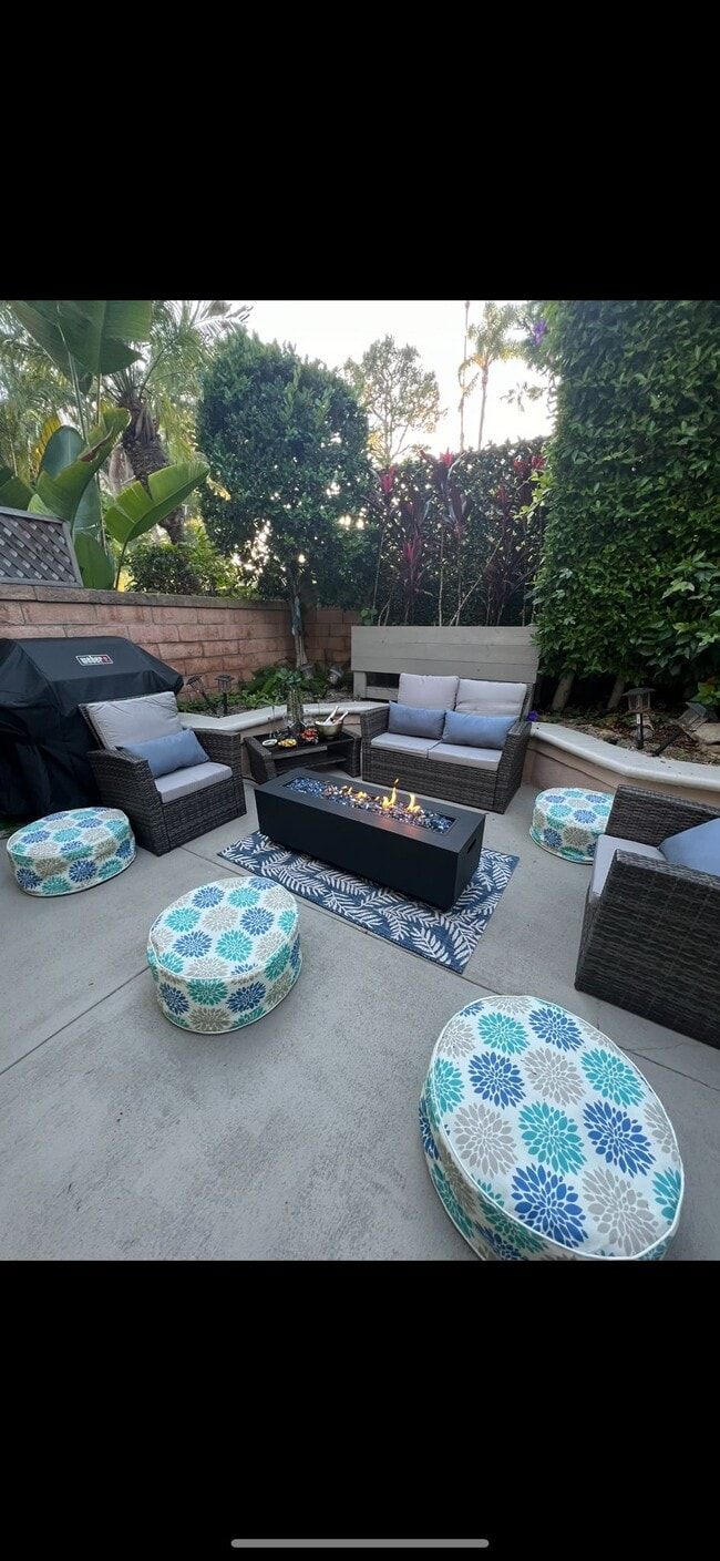 Backyard - 29465 Christiana Way