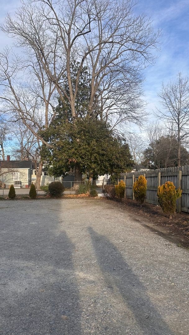 Photo - 407 St Andrew St Unit Apt 2