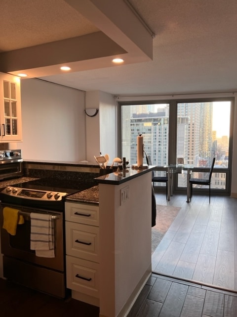 Building Photo - 440 N Wabash Ave Unit 2501