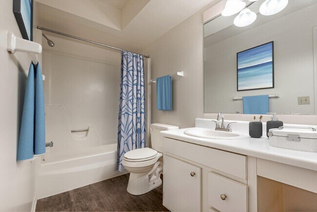 Steeplechase Apartment Homes