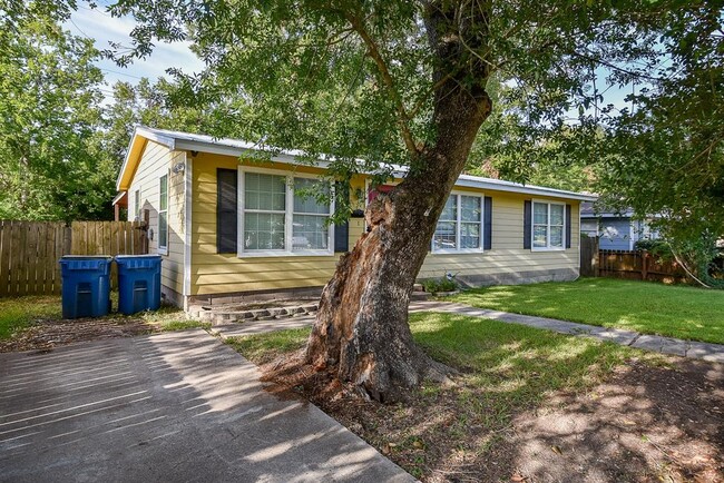 1105 Ave D- - 1105 Ave D- Rental