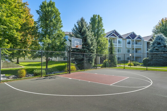 Basketball Court