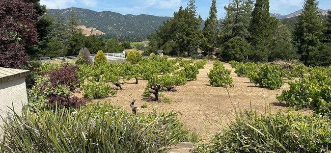 Photo - Hilltop Estate in Green Valley-Fully Furni...
