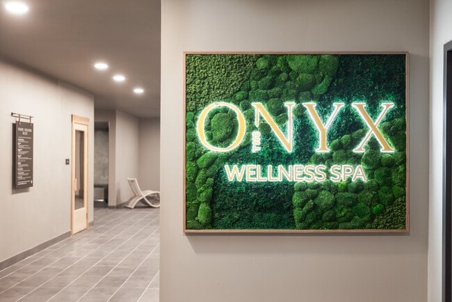 The Onyx