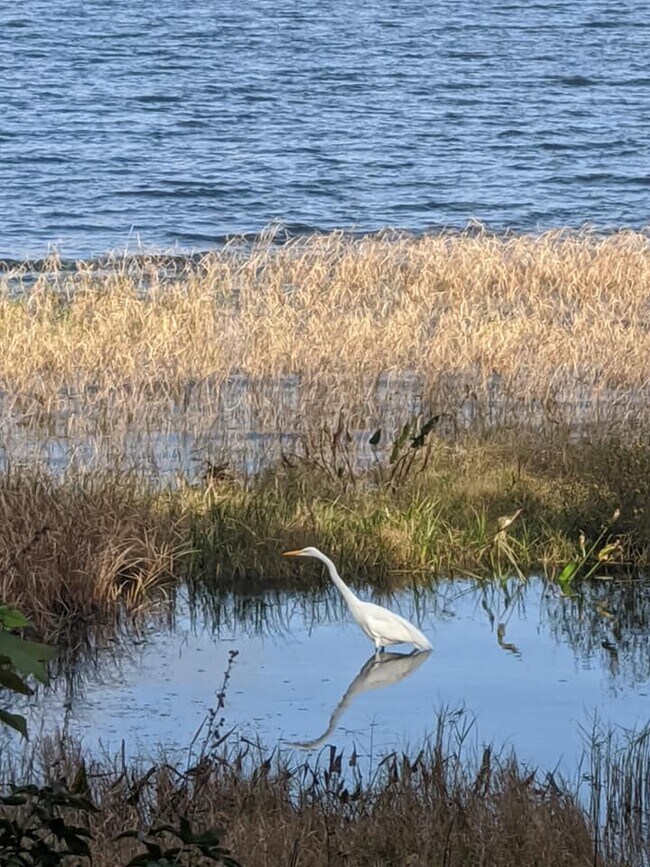 Photo - 9503 Co Rd 1469