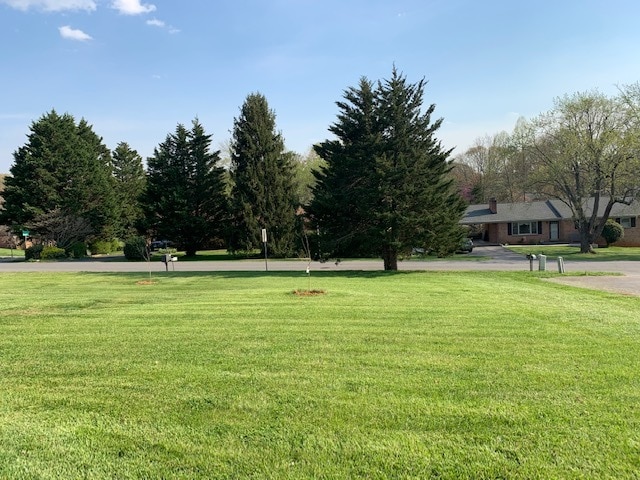 Front Yard