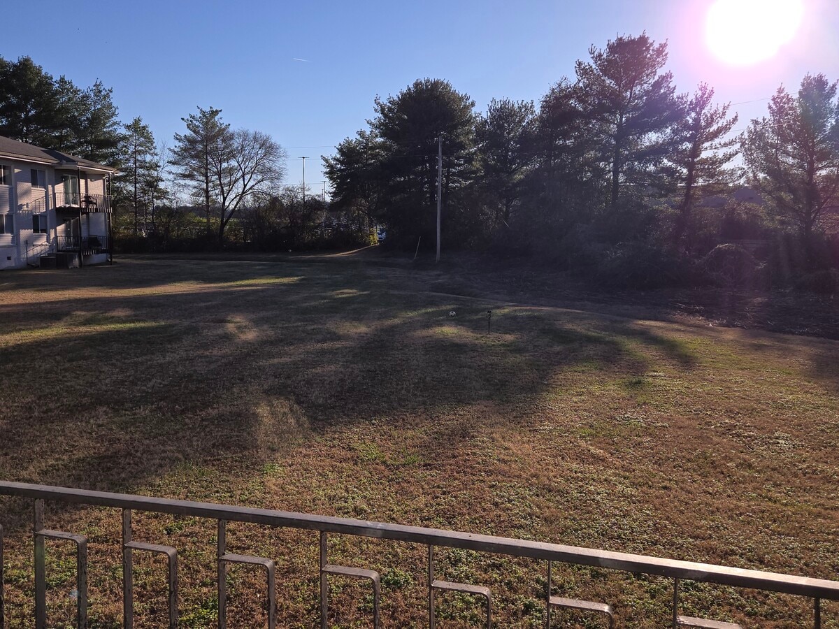 Executive House Back Yard - 613 Hillsboro Rd Unit A-13