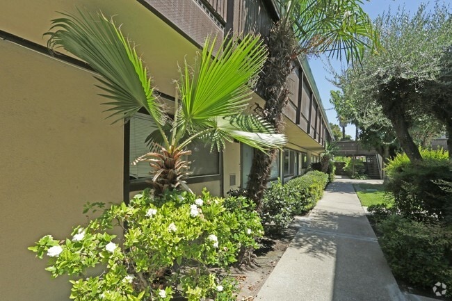 Pacific Palms