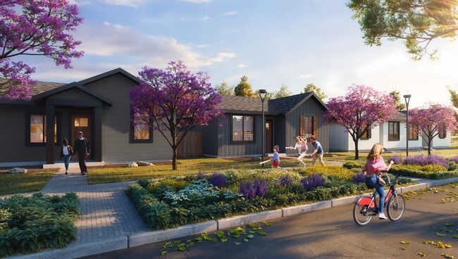 Petra at Larkspur