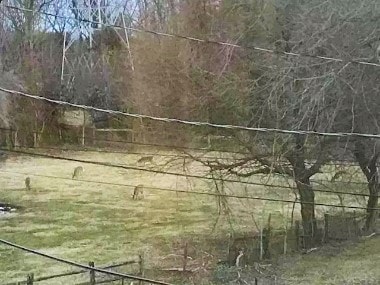 Photo - 50 Buckwalter Rd