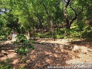 Photo - 19614 Grey Forest Dr