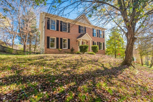 Photo - 420 Shelbyville Rd