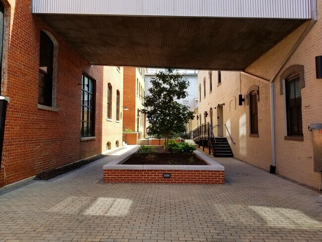 The Cameron Lofts