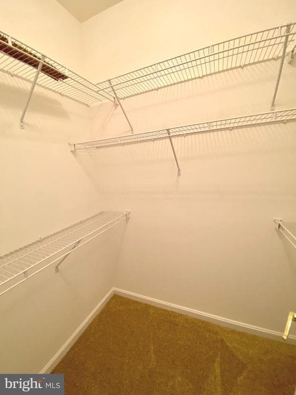 Photo - 11100 Trinity Ln