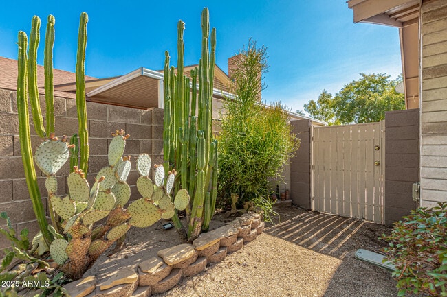 6243 W Cholla St