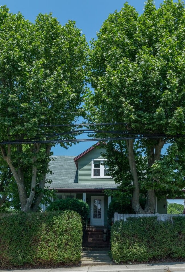 Charming Home in the North-End of Downtown Harrisonburg - 801 N Main St