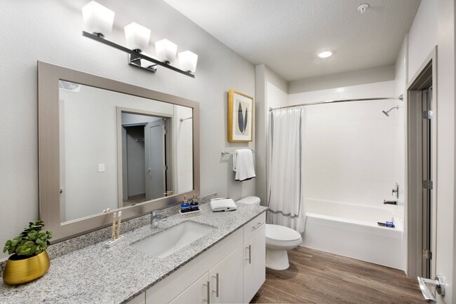 Photo - Maitland City Centre