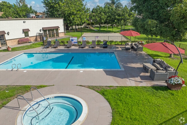 Pool and Spa