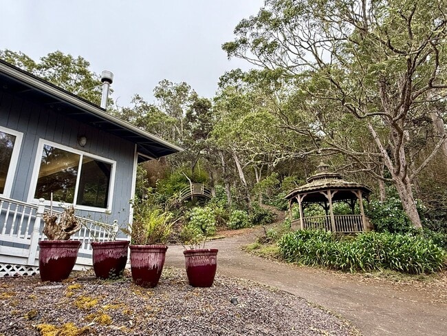 Photo - Forest Retreat at the Top of Kaloko