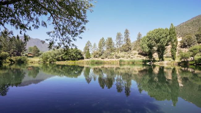 Photo - 15513 Live Oak Way House