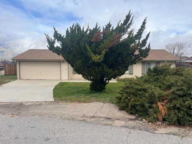 Photo - Golden Hills!