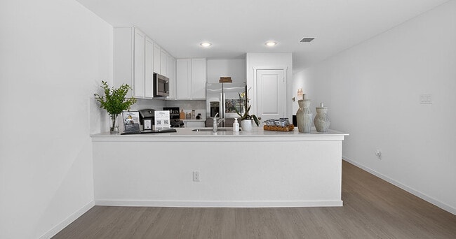 Axis at Veranda Rental Homes