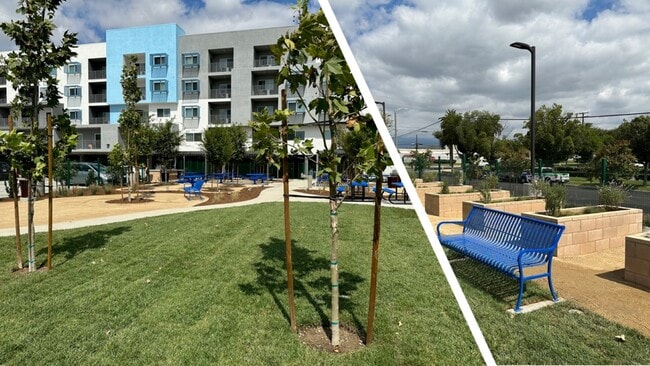 Photo - M on Mission