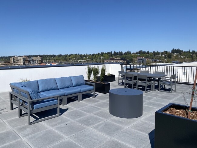 Roof top fun zone - The Madrone