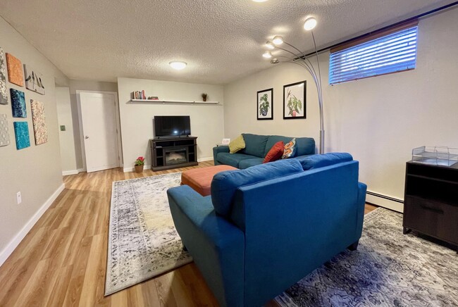 Living Room - 429 Bliss St Apartments Unit 2