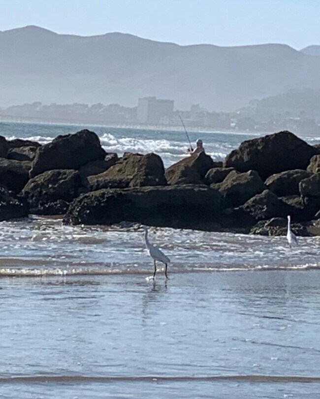 Photo - Apollo Apartments