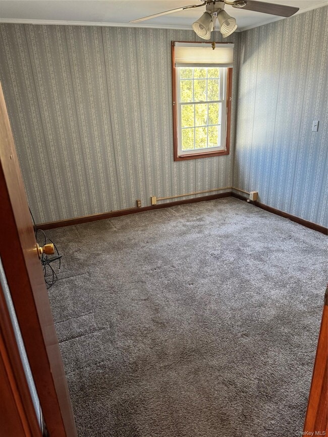 Photo - 61 Delafield St