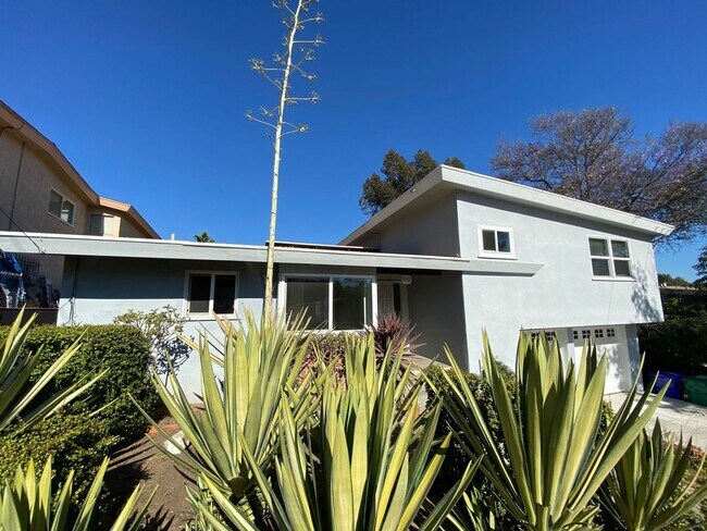 4967 Campanile Dr