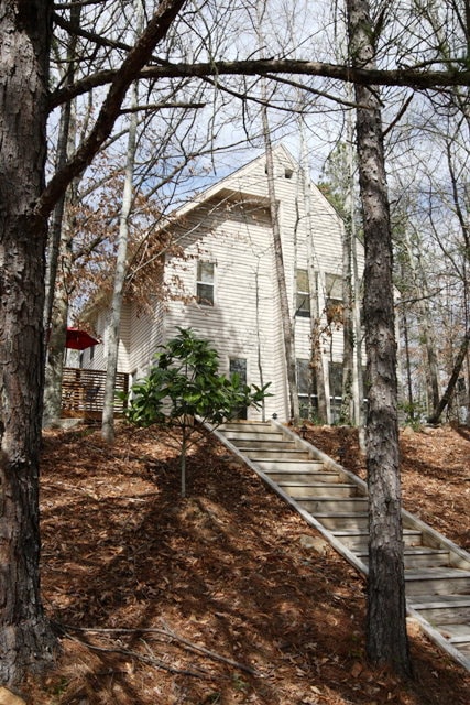 Building Photo - 379 Butternut Dr