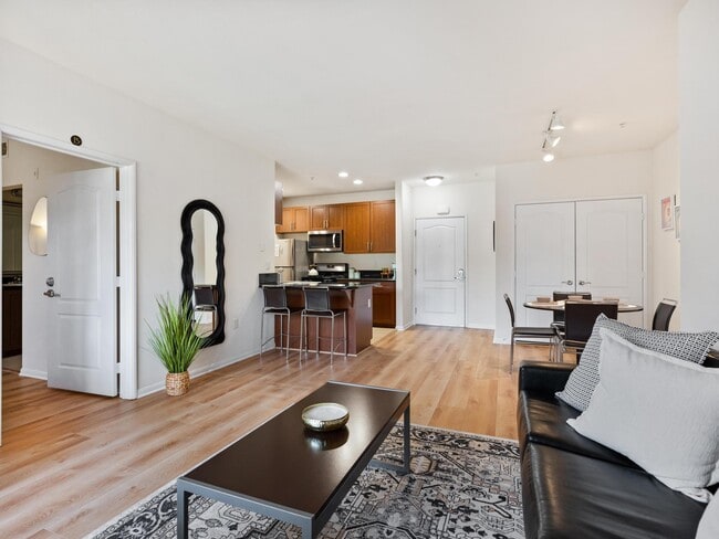 Premium Furnished Unit