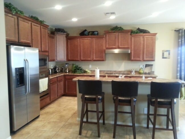 Photo - 669 W Dragon Tree Ave