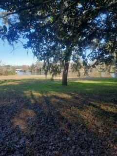 Photo - 2133 Hyde Park Rd