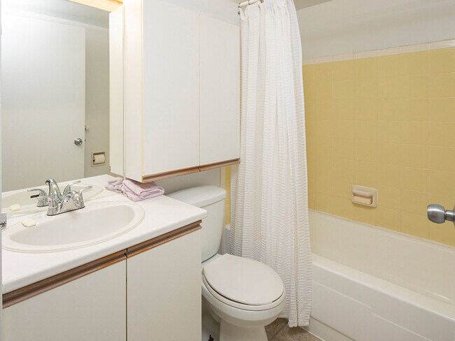 Photo - Le Faubourg de L'ile