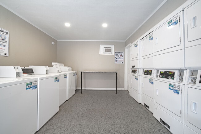 Photo - The Bristols