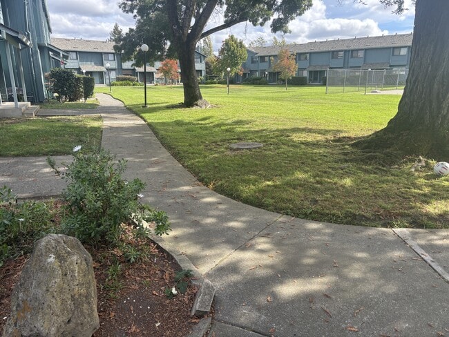 Photo - 221 College View Dr