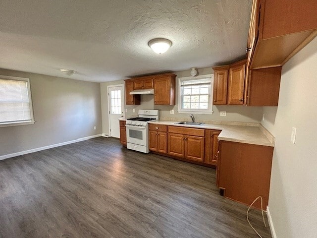 Photo - 85 Emmet St Casa Adosada