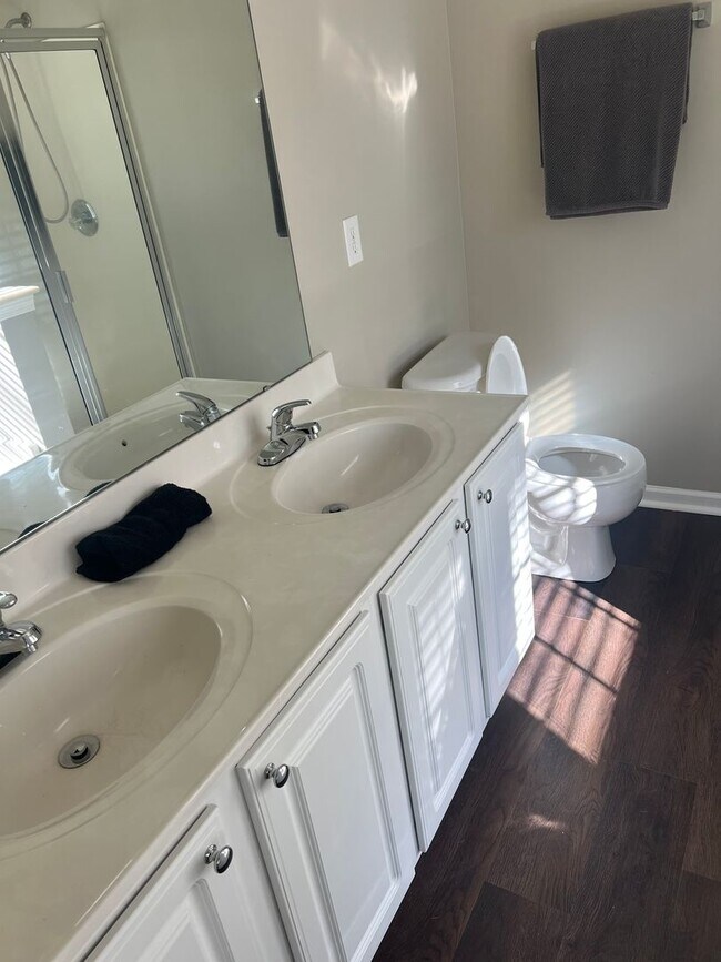 Photo - 2008 Duke Adam St