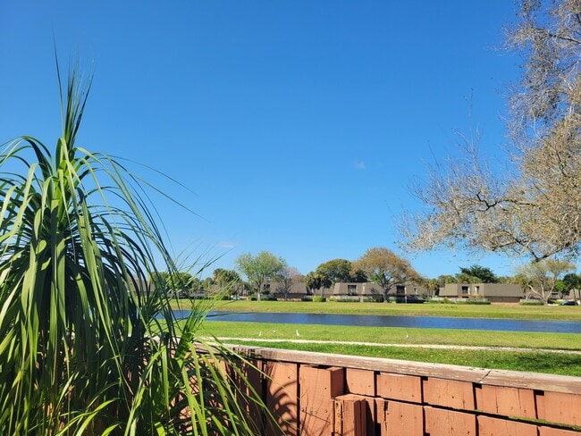 Photo - 6407 64th Way