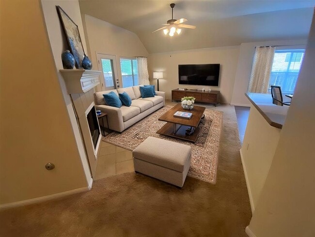 1002 Mesquite Hollow Pl