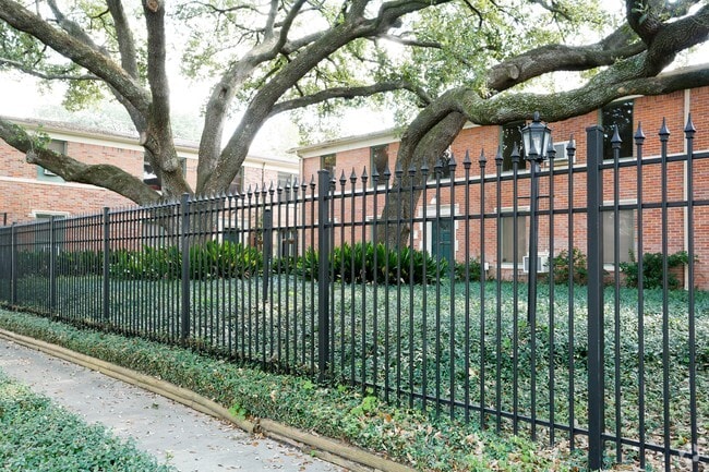 The Museum Gardens