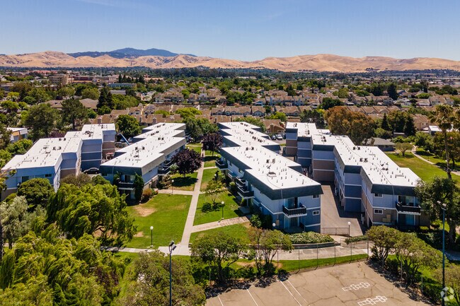 Marina Heights