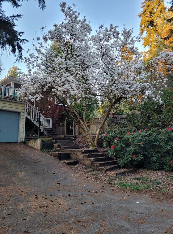 Photo - 1560 NE 106th St